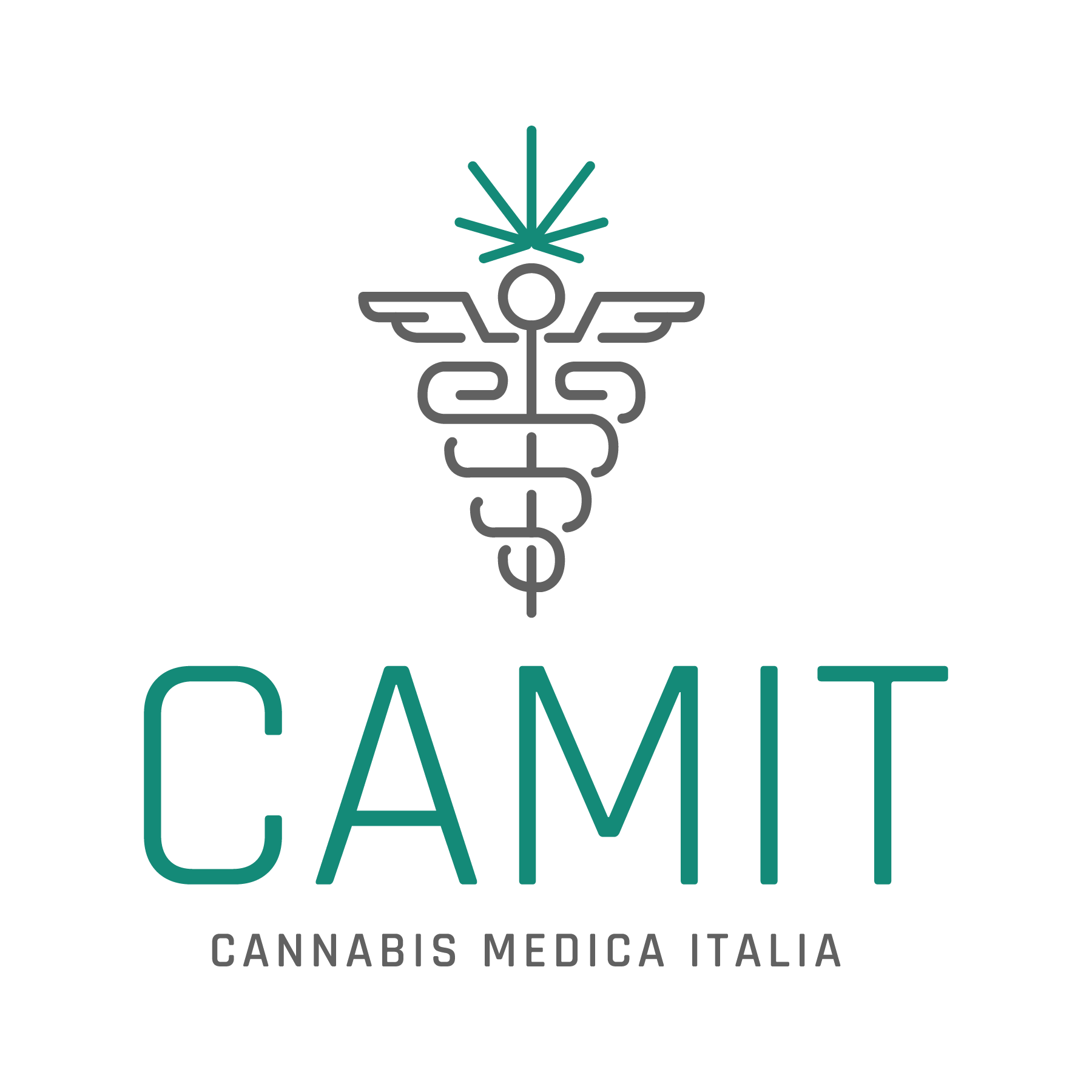 Camit